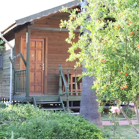 Casa de hóspedes Atici 2 Adrasan